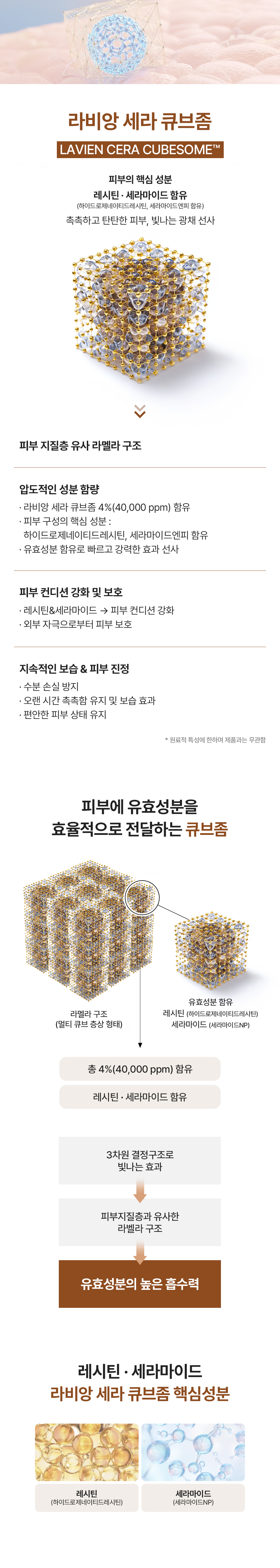 DNA essence_03.jpg
